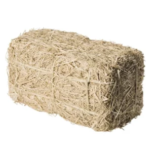 BALLOT DE PAILLE