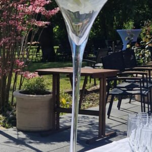VERRE MARTINI