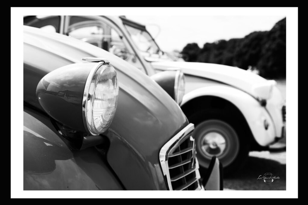 Les yeux d'amelie-Photographe